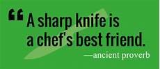 Professional Knife