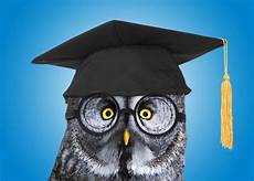 Mortar Boards