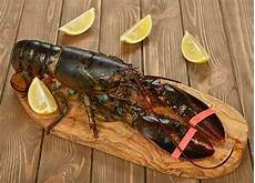 Seafood Tools
